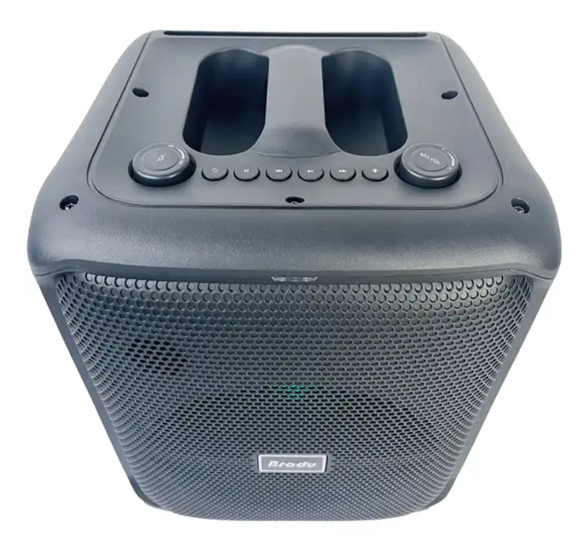 BTS-1740 8 Inch 30W Outdoor Boombox Am Fm Radios Portability Wireless Mini Speakers Wireless Microphones