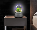 Bedroom Home Household Plant Micro Ecology Air Purifiers