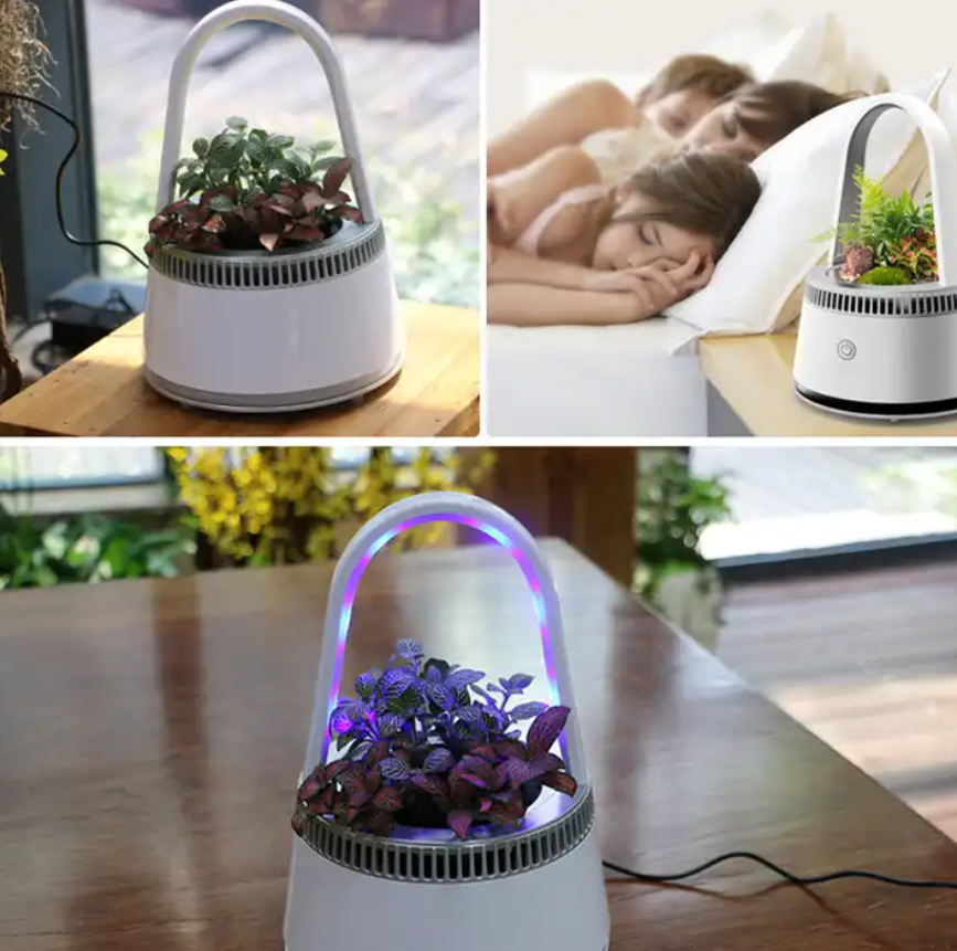 Bedroom Home Household Plant Micro Ecology Air Purifiers