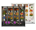 Commercial flower display fridge transparent glass door fresh flower display cooler refrigerator