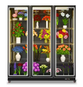 Commercial flower display fridge transparent glass door fresh flower display cooler refrigerator