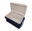 90L Cooler Box Large Ice Box For Medicine