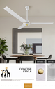 TNTSTAR TNT-202 220v dc industrial 56 inch ceiling fan led bldc light prices remote modern restaurant low smart outdoor