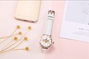 MG.ORKINA MG090 Newest Women Beautiful Rhinestone Leather Strap Mechanical Automatic Classic Dress Watch