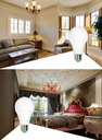 RSL-A8018W E27 led Bulb LED Light