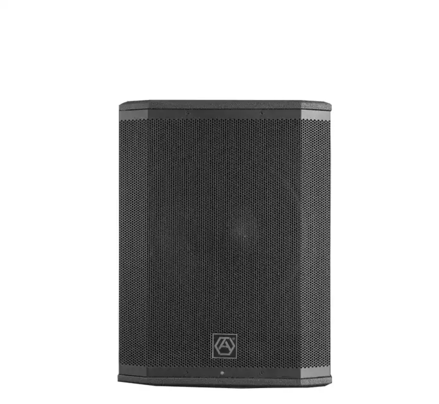 Accuracy Pro Audio AC21 Unique New Modular Design High Power RMS 800W Pro PA System Active Column Floor Speakers