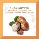 Cantu Shea Butter Hair Dressing Pomade - 113g