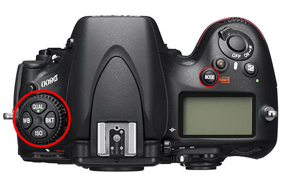 Nikon D800 Camera