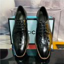 Men Leather Classical Fancy Shoes