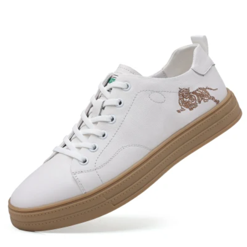 Classic Vulcanized Casual Canvas Shoes for Men