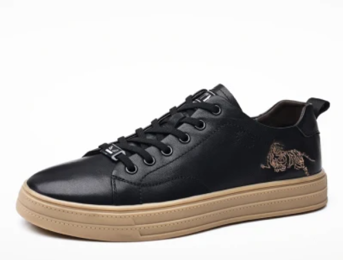 Classic Vulcanized Casual Canvas Shoes for Men