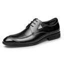 Leather Formal Casual Dress Shoes for Men