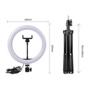 10 Inch Ring Light With Stand, For Tik Tok, YouTube,Live stream - Black - Black