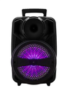 Portable Wireless Party Speaker: Shimmering LED Lights, 8" Driver + Tweeter, Karaoke Microphone, Carrying Handle, Remote