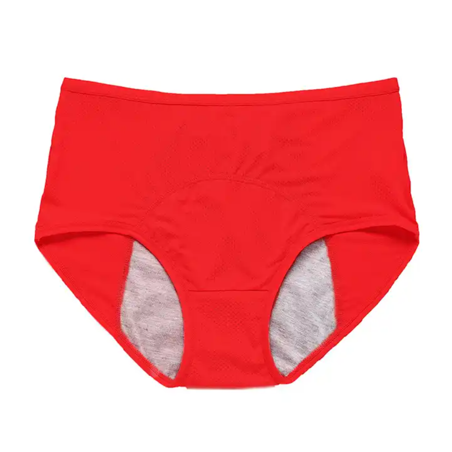 Women Safety Period Panties