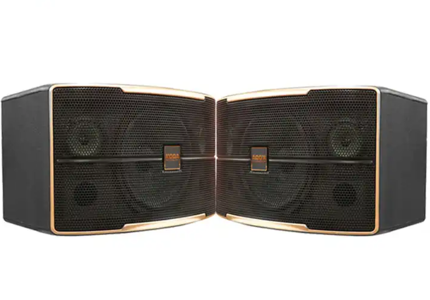 Master slave pair subwoofer high power dj sound bass audio speakers