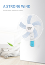 EVERNAL STAR FB-40 Wall Fan