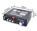 Hifi Mini Blue--tooth Amplifier for MP3 Player with 110V AND 220V Audio Stereo Power FM Radio Support 12V Car Amplifier