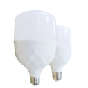 30W LED Big Power T Bulb