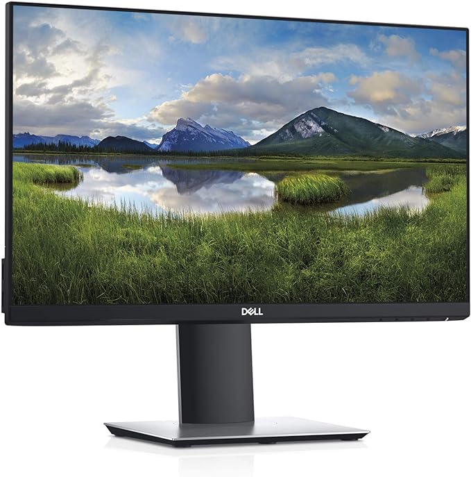 Dell 21 inches Monitors