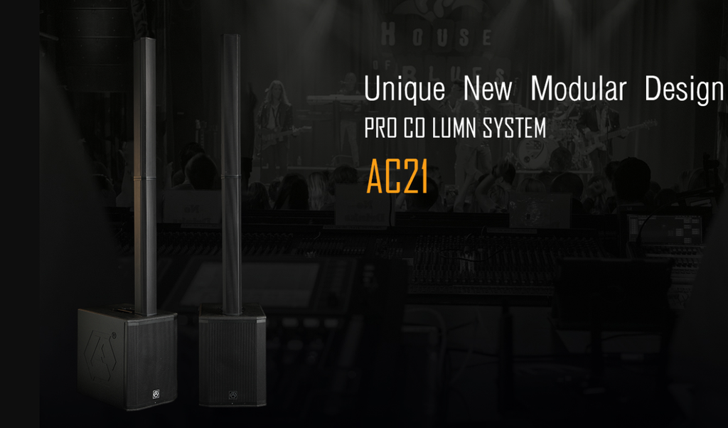 Accuracy Pro Audio AC21 Unique New Modular Design High Power RMS 800W Pro PA System Active Column Floor Speakers