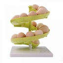 Spiral Egg Tray Storage Organizer - Lemon Green.