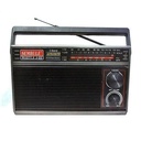 Sembule Portable FM Radio - Black