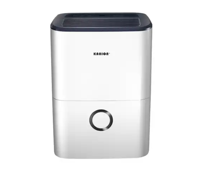 EU Standard R290 home 10L/Day dehumidifier