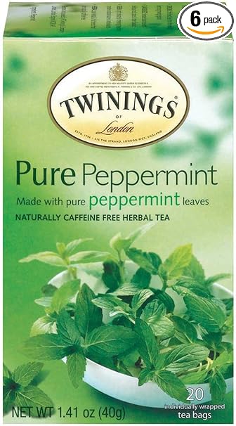 Fruit & Spice Sweet Peppermint Leading  Health 20 Teabags