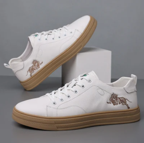 Classic Vulcanized Casual Canvas Shoes for Men